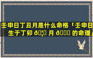 壬申日丁丑月是什么命格「壬申日生于丁卯 🦊 月 🐎 的命理」